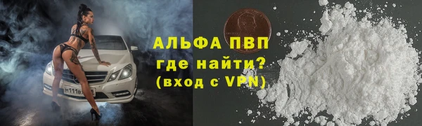 индика Абинск