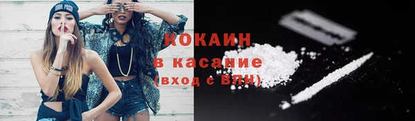 индика Абинск