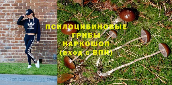 прущая мука Алексин