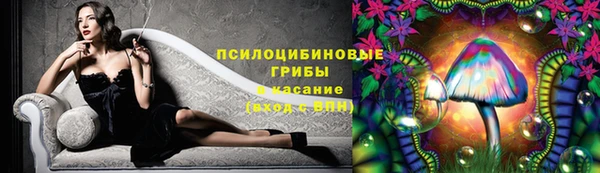 таблы Алзамай