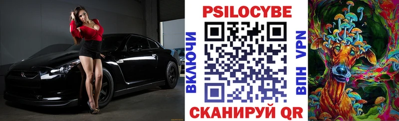 купить закладку  Новомичуринск  Галлюциногенные грибы мухоморы 